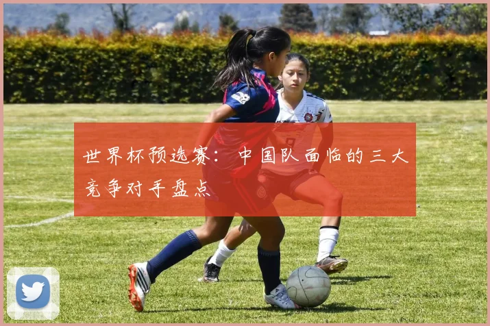世界杯预选赛：中国队面临的三大竞争对手盘点
