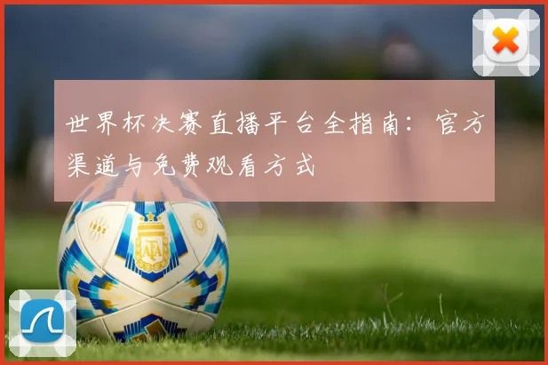 世界杯决赛直播平台全指南：官方渠道与免费观看方式